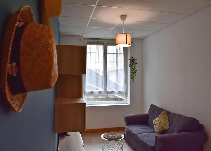 Apartament Le Vernay T2 Centre Ville, Universites, Chu Saint-etienne